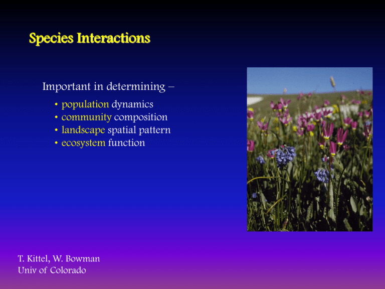 Species Interactions