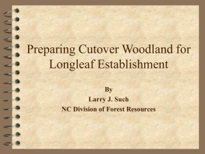 Preparing Cutover Woodland for Longleaf Establishment Powerpoint