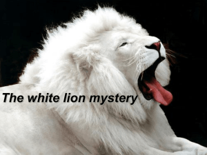 The white lion mystery