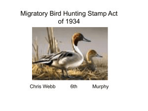 Migratory Bird Hunting Stamp Act of 1934