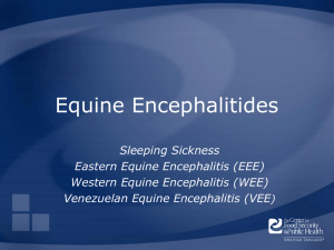 EquineViralEncephalitis - The Center for Food Security and