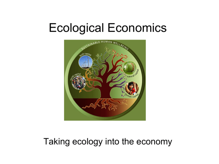 phd in ecological economics