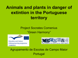 Animals in danger of extintion in the Portuguese