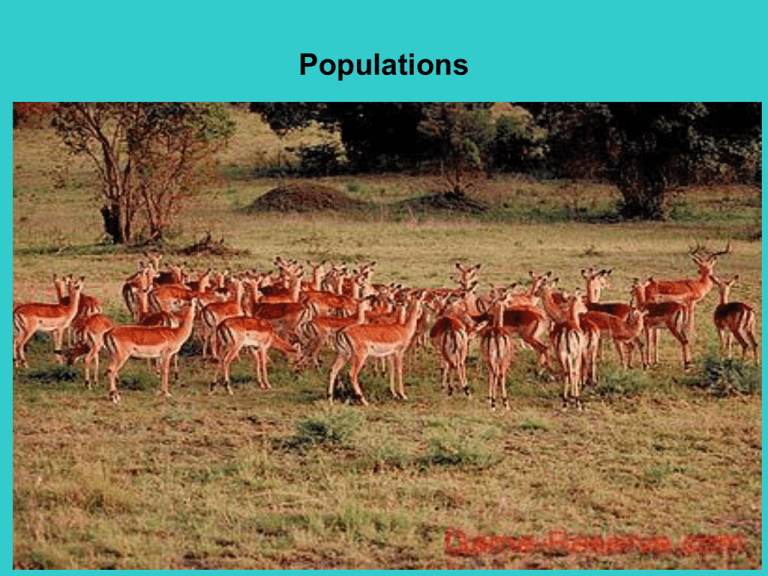 What Does Populations Mean