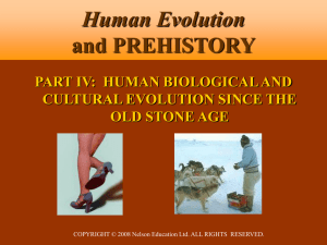 10.5 MB - Human Evolution and Prehistory, Second Canadian Edition