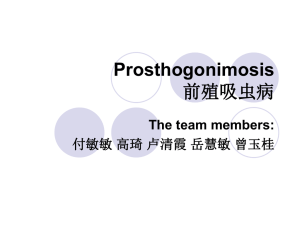 Prosthogonimus spp(前殖吸虫)