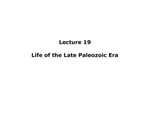 Late Paleozoic Life