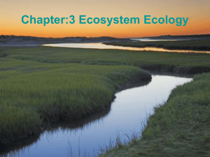 Chapter:3 Ecosystem Ecology