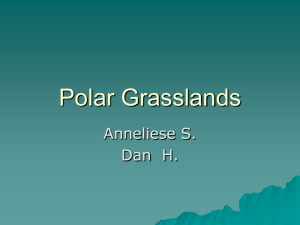 Polar Grasslands-1