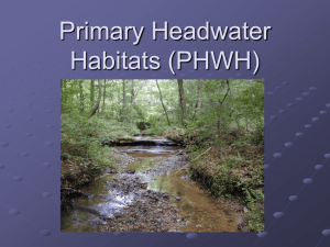 Primary Headwater Habitats