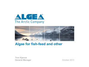 Algae for fish-feed and other