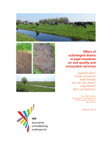 Effect of submerged drains in peat meadows on soil quality