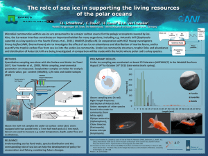 The role of sea ice in supporting the living