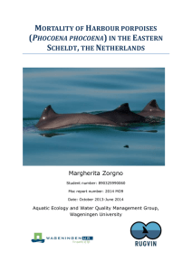 MORTALITY OF HARBOUR PORPOISES (PHOCOENA