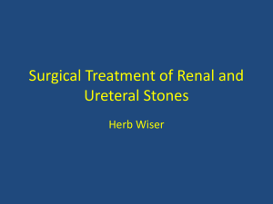Surgical Treatment of Renal and Ureteral Stones