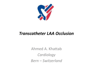 Der perkutane Vorhofsohrverschluss Transcatheter LAA Occlusion
