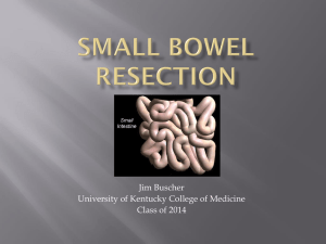 Small Bowel Resection