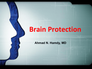 Brain Protection 12-03-2013 A.N.Hamdy