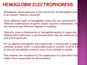 Hemoglobin electrophoresis