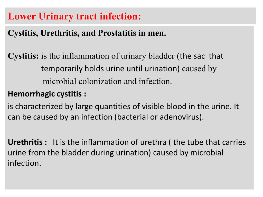 difference between prostatitis and cystitis