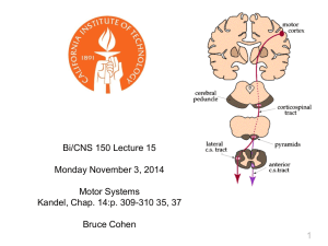 Motor Systems * I