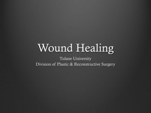 Wound Healing - Tulane University