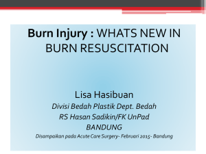 1.dr.Lisa Hasibuan-PPT whats new inBurn Injury 28 Jan dr lsa