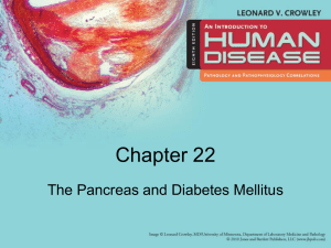Pancreas_and_Diabetes_Mellitus