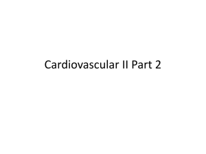 Cardiovascular II Part 2