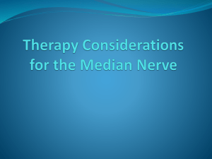 Therapy Considerations for the Median Nerve