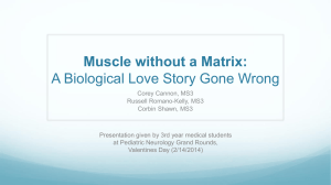 Muscle without a Matrix: A Biological Love Story Gone Wrong