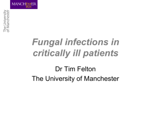 Fungal infections in critically ill patients