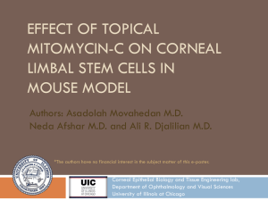 The effect of topical mitomycin-c on cornel limbal stem cells in a