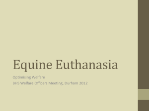 Equine Euthanasia – Optimising Welfare