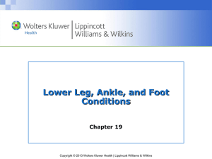 Foot and Lower Leg Fractures (cont.)