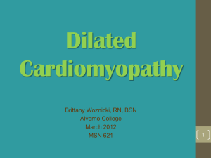 Brittany Woznicki, 2012. Dilated Cardiomyopathy.