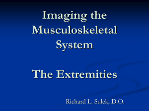 Imaging the musculoskeletal system