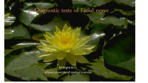 tests of Facial nerve Function