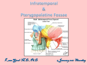 Infratemporal & pterygopalatine fossae