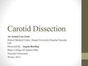 Carotid Dissection - An Actual Case from: Detroit Medical Center