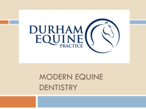 Modern Equine Dentistry - Durham Equine Practice