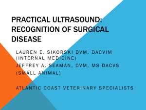 Practical-Ultrasound-11-28-2012