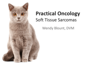 PowerPoint - Soft Tissue Sarcoma