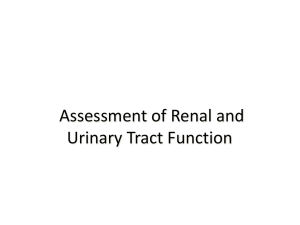 Chapter 43 Assessment of Renal and Urinary Tract Function