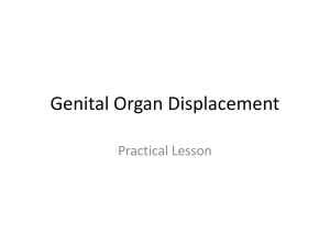 Genital Organ Displacement- Practical Lesson