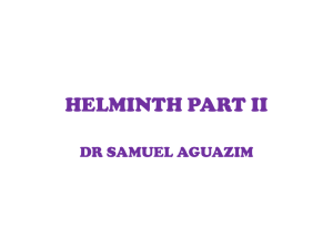 HELMINTH PART II
