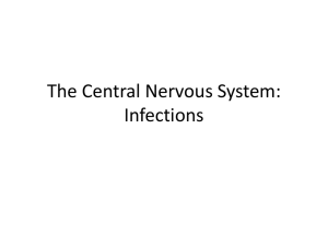 12-11-13 The Central Nervous System fections