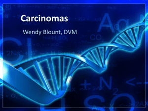 Carcinomas - Mammary Gland Tumors