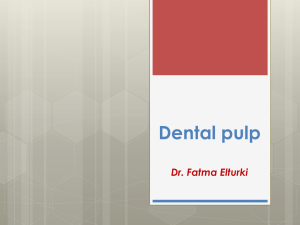 Dental pulp - Fresh Men Dentists