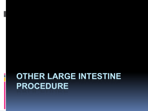 Other Large Intestine Procedure2